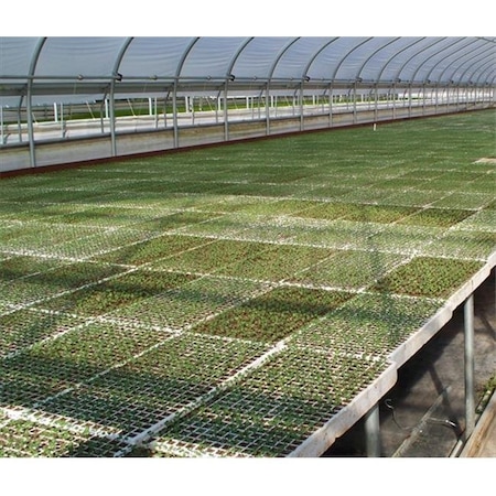 Riverstone Industries Riverstone Industries RSI RSI-ST242 Hydroponic Seed Trays - 242 plugs; 2 Pack RSI-ST242